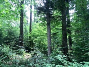 地産地消の家づくり