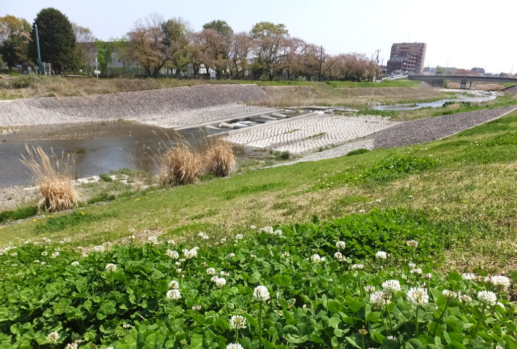 「地域とともに子育てを楽しむ」がキーワード！ファミリー世代に大注目の街 八王子市の子育て事情を解説